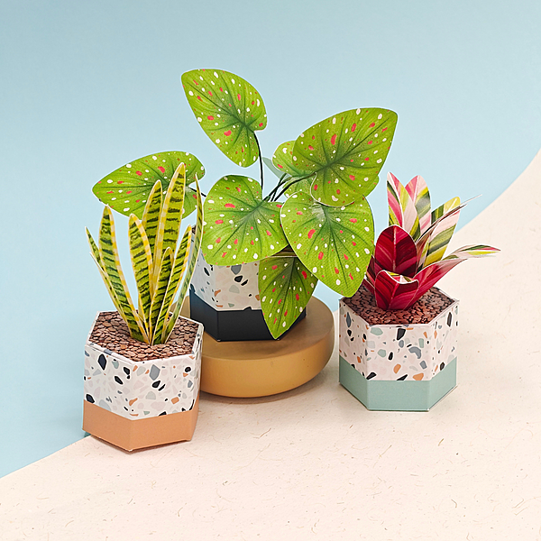 Mini Paper Plants – Set of 3 Illustrated DIY Desk Planters