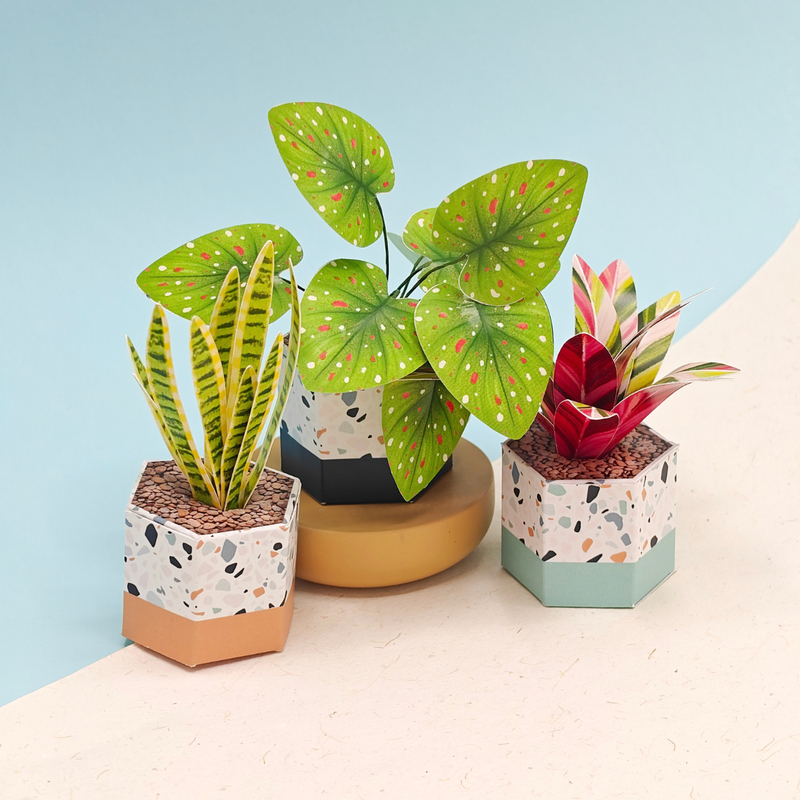 Mini Paper Plants – Set of 3 Illustrated DIY Desk Planters