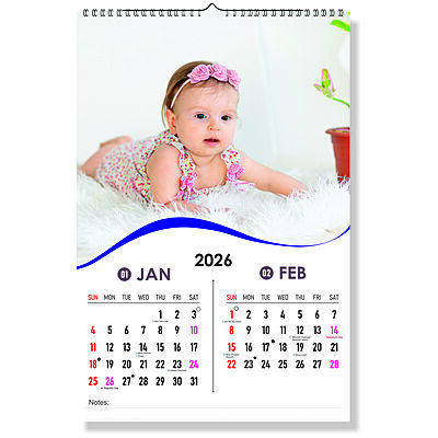 2026 Pure Joy Wall Calendar