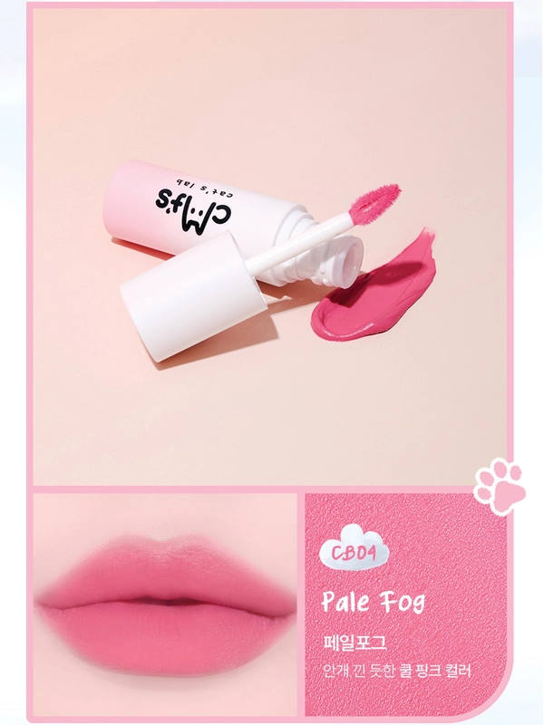 Cat's Lab - Blur Lip Velvet CB04 Pale Fog