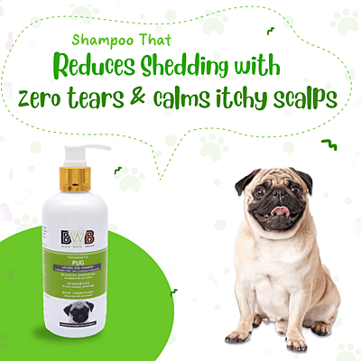 BWB PUG SHAMPOO
