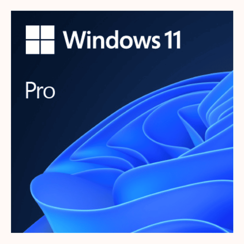 MS Windows 11 Pro 64bit OEM DVD (FQC-10528)