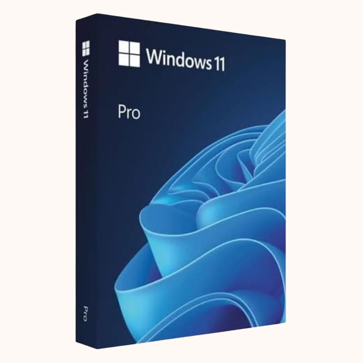 Microsoft Windows Pro 11 Full USB Media (64 bit) (HAV-00163)