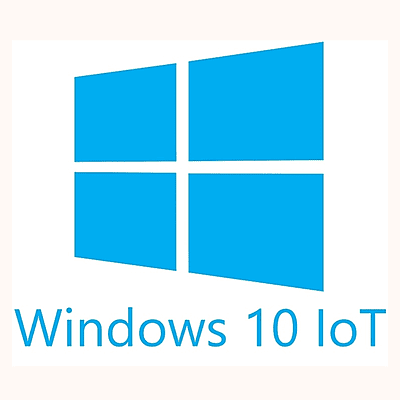 MS Windows 10 IoT Ent 2021 LTSC MultiLang ESD OEI Entry ESD (MUV-00027)