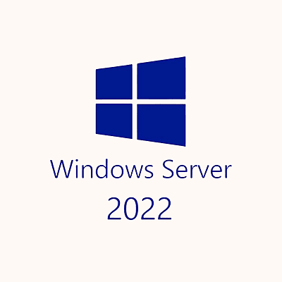 Microsoft Windows Server 2022 - 1 User CAL Academic CSP (Perpetual)