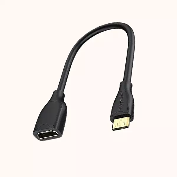 BWIS Mini-HDMI Male to HDMI (CC1007)