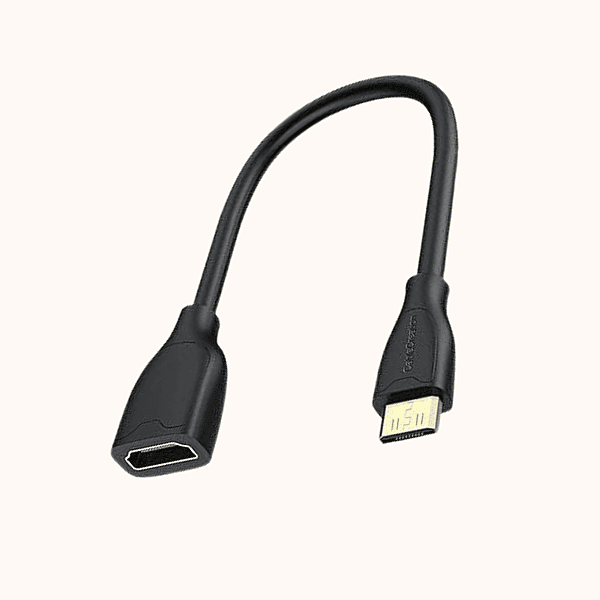 BWIS Mini-HDMI Male to HDMI (CC1007)