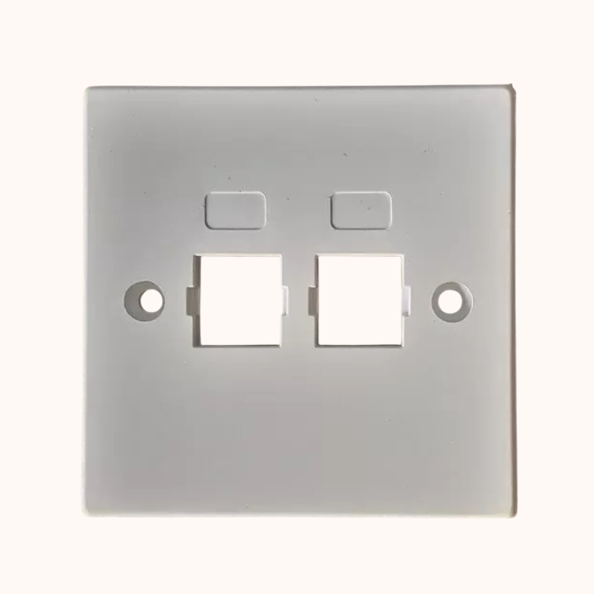 Delton Unshuttered Face Plates Dual Port (DLT-FPDWS)