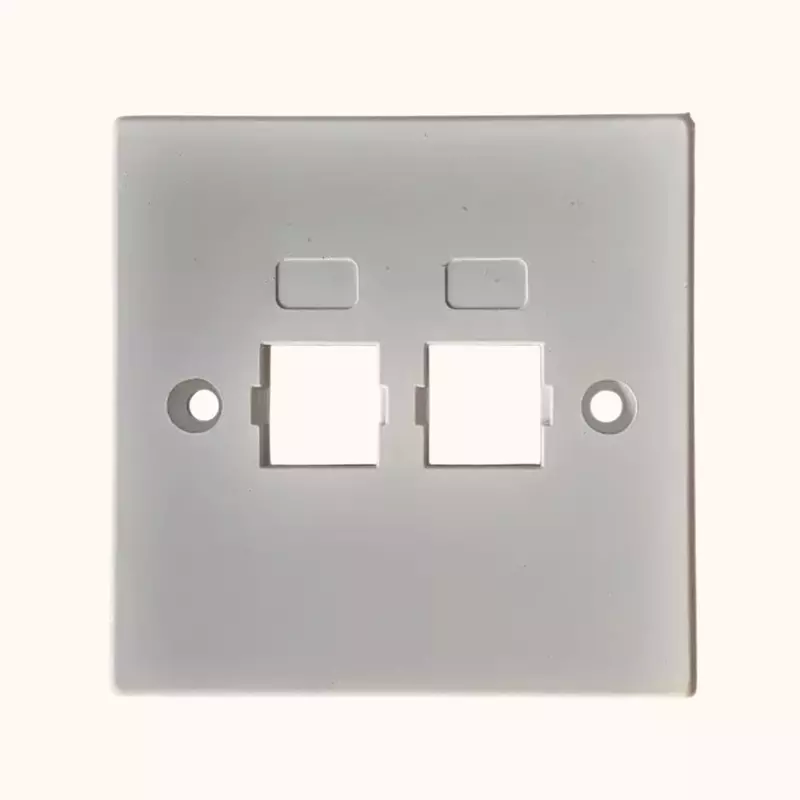 Delton Unshuttered Face Plates Dual Port (DLT-FPDWS)