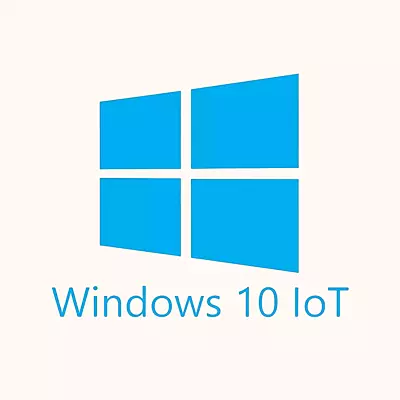 MS Windows 10 IoT Ent 2021 LTSC MultiLang ESD OEI High End ESD (MUU-00074)