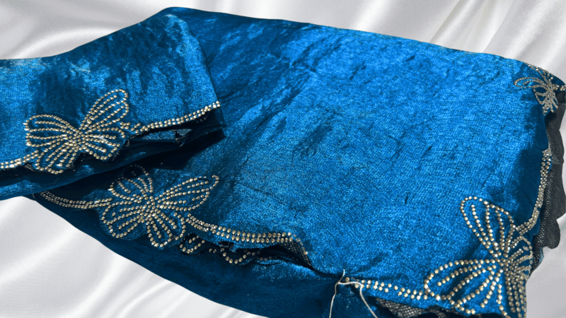 Butterfly Stone Work Saree - Aqua Blue