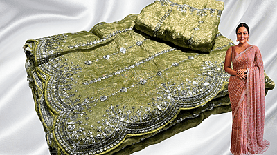 Diwali Special Space Full Stone Work Saree - Pista