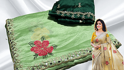 Nice Look Mirror Work Saree - Pista