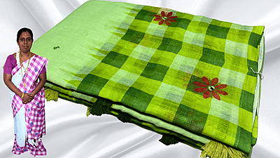 Soft Checks Mirror Work Saree - Green