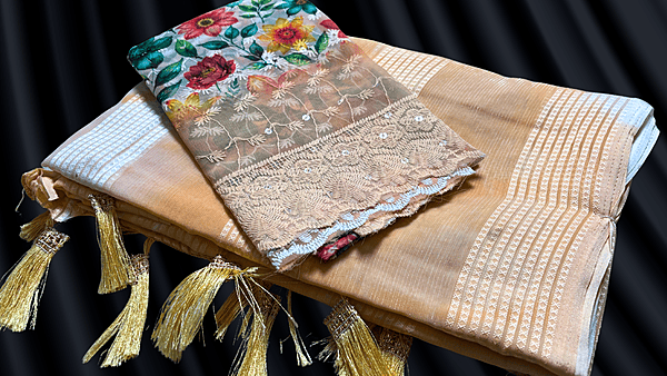 Colourful Silver Line Work Saree - Orange