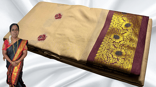 Soft Silk Fancy Stunning Saree - Beige