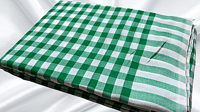 Jyotsna Soft Checks Cotton Saree - Green & White
