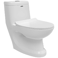 Elite Washdown One Piece Closet With Soft Close Seat Cover, Hinges, Fixing Accessories Set and Accessories Set, Cistern Fittings