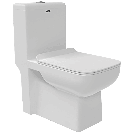 Inox Washdown One Piece Closet With Soft Close Seat Cover, Hinges, Fixing Accessories Set and Accessories Set, Cistern Fittings