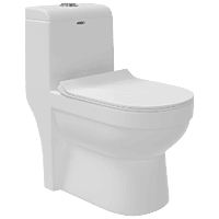 OPC-22121PP Apple Washdown One Piece Closet P Trap With Soft Close Seat Cover, Hinges, Fixing Accessories Set and Accessories Set, Cistern Fittings