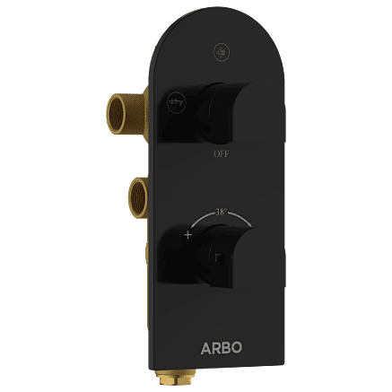 DVT-MB-5610 2 Inlet 3 Outlet Thermostatic Diverter Body With Upper Part Set (Matt Black)