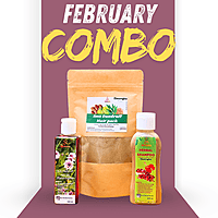 February Combo Offer – Anti Dandruff Care Kit