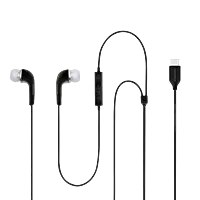 SAMSUNG IC050 In-Ear Wired Earphone with Mic (Type-C Interface Support, Black)