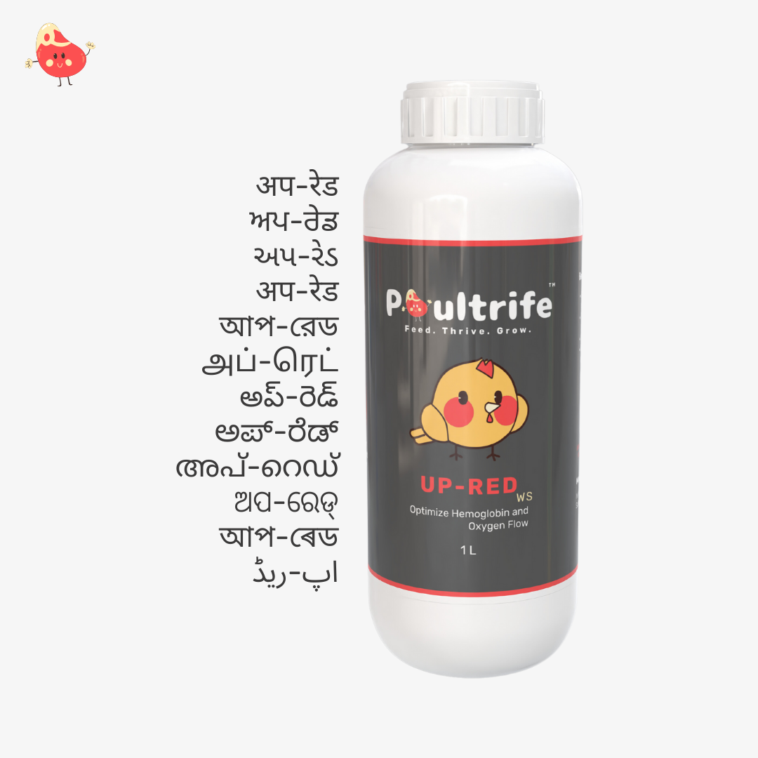 UP-RED WS – Weight Booster + Iron Tonic for Poultry