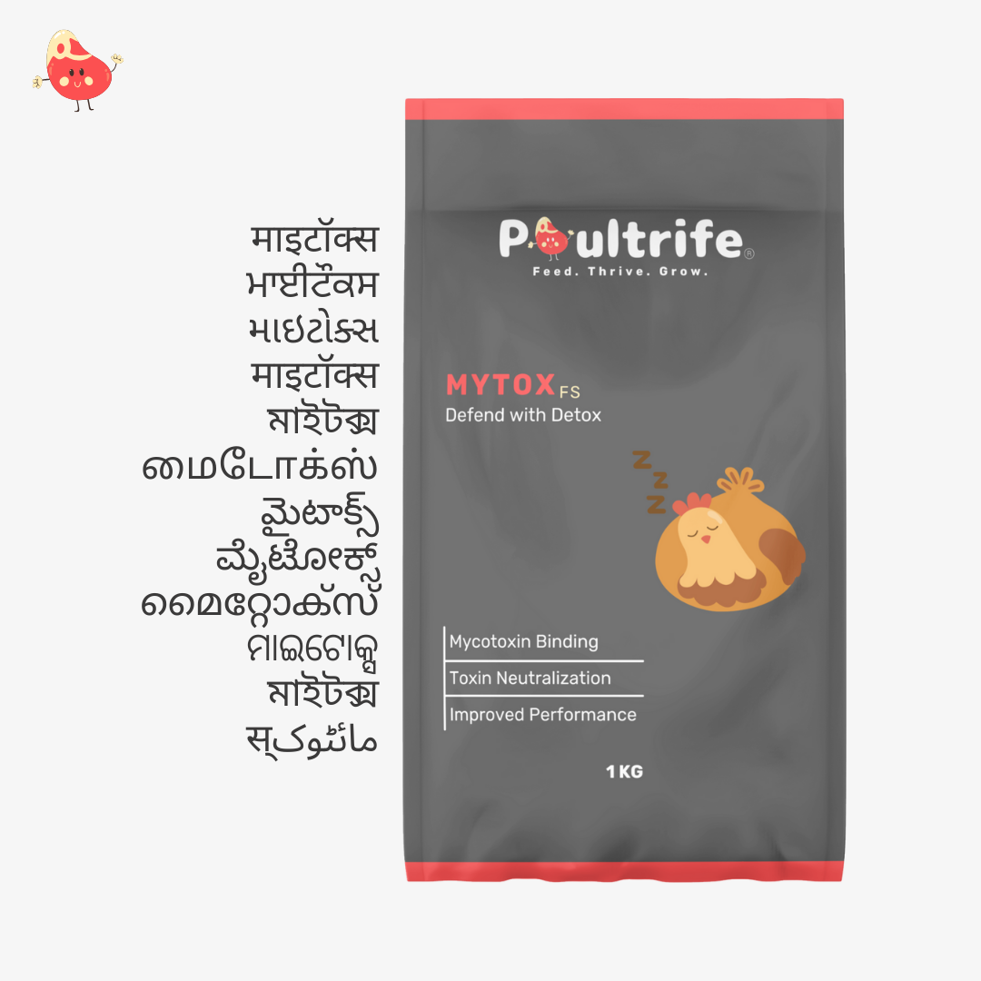 MYTOX FS – Advanced Mycotoxin Binder for Feed Safety