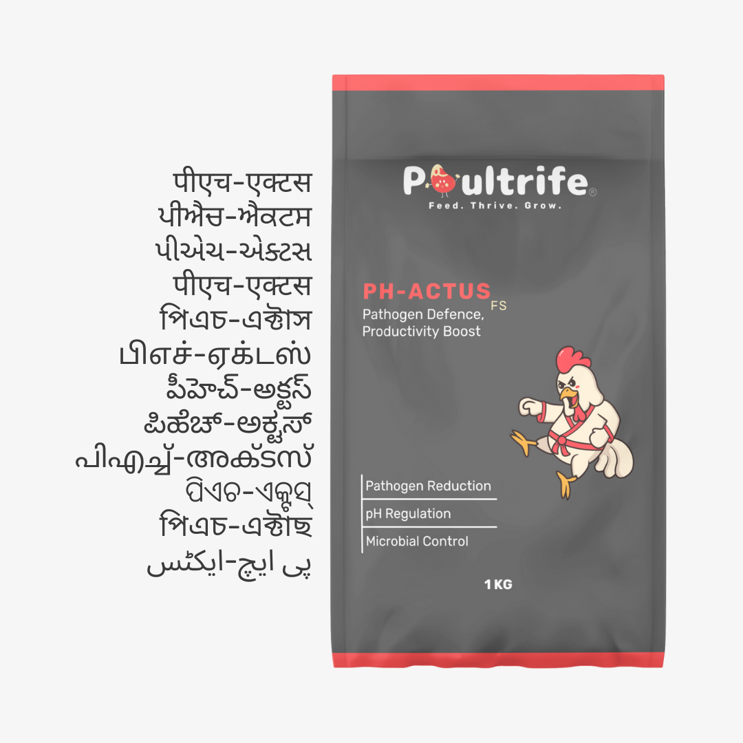 PH-ACTUS FS – Feed Acidifier for Gut Health & Pathogen Control