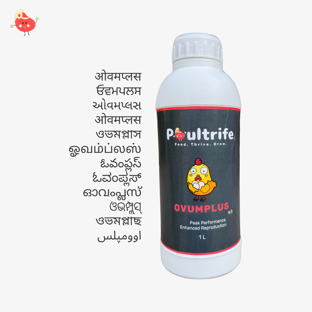 OVUMPLUS WS – Reproductive Performance via Water