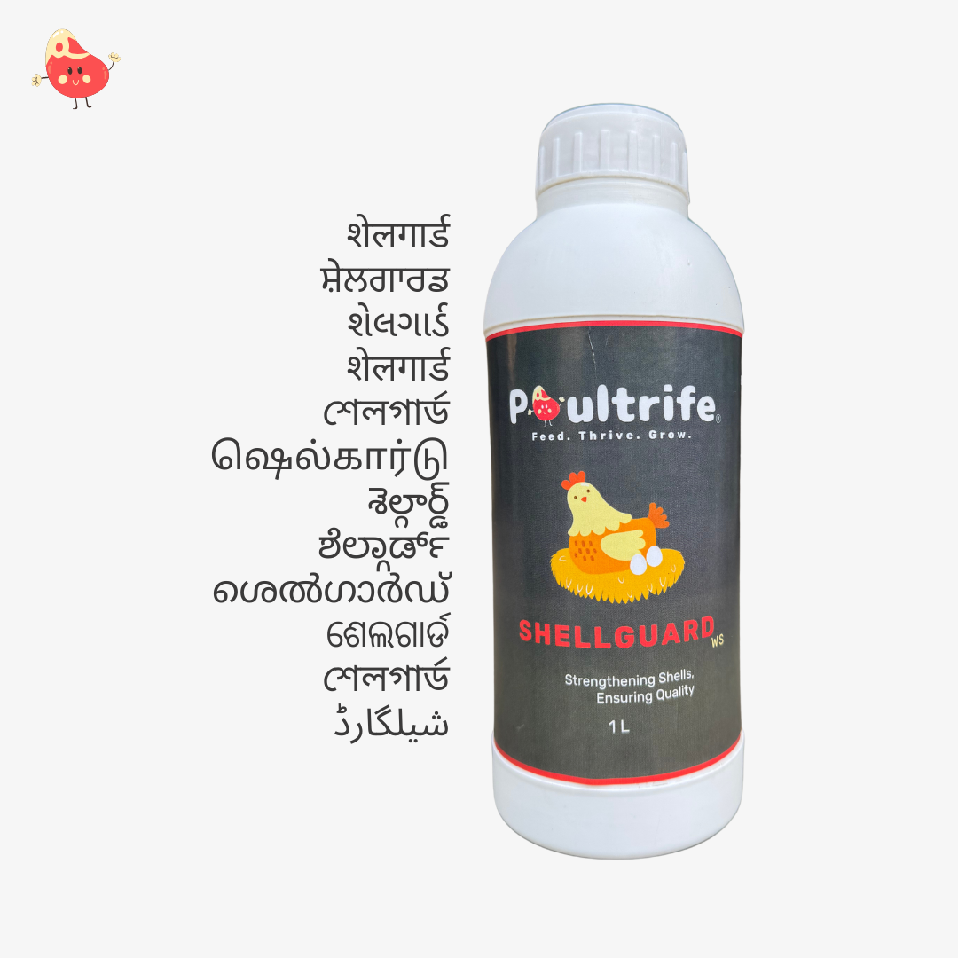 SHELL GUARD WS – Eggshell Quality via Water