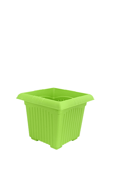 Planter Basant 14