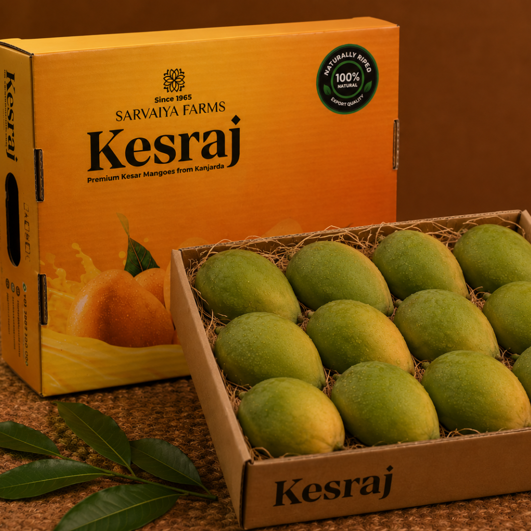 1 Dozen Gift Box - Maharaja