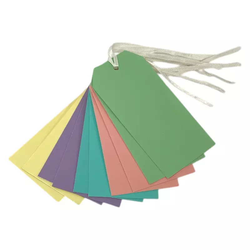Pack of 10 Assorted Pastel Colour 120x60mm Strung Tags