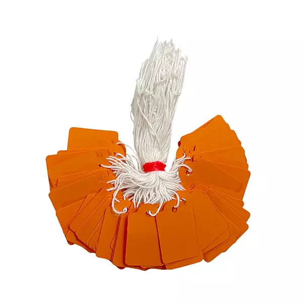 Pack of 100 Medium Orange Strung Tags 25 x 39mm