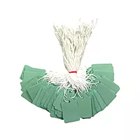 Pack of 100 Medium Pastel Green Strung Tags 25 x 39mm