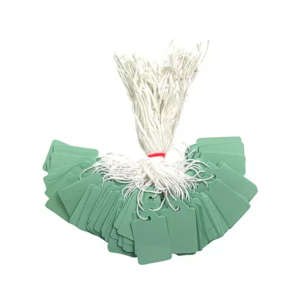 Pack of 100 Medium Pastel Green Strung Tags 25 x 39mm