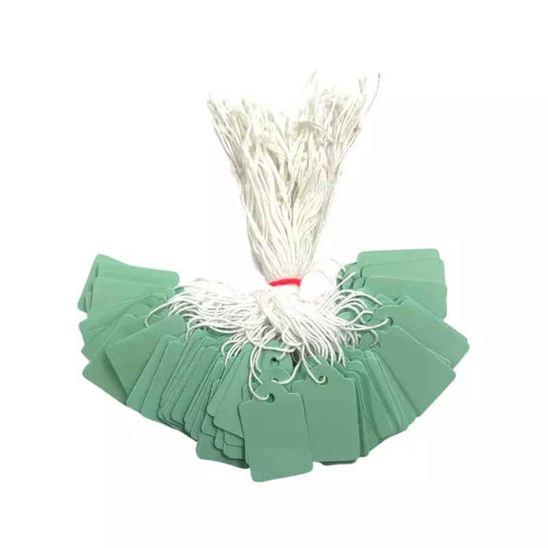 Pack of 100 Medium Pastel Green Strung Tags 25 x 39mm