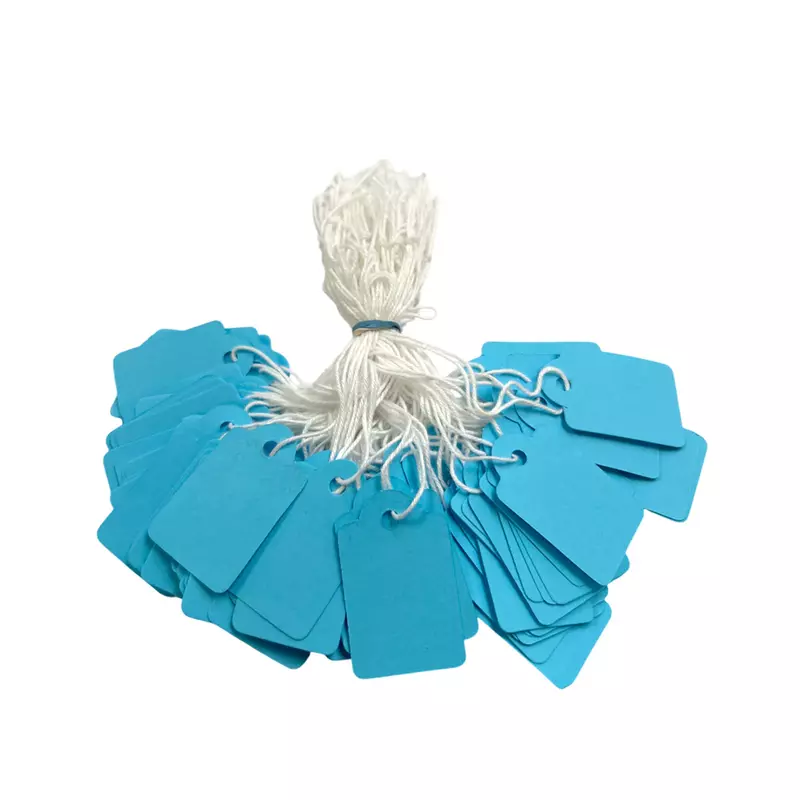 Pack of 100 Medium Blue Strung Tags 25 x 39mm