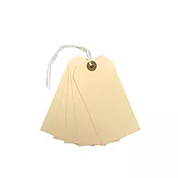 Pack of 20 Manila Luggage Strung Tags 60 x 120mm
