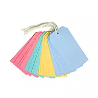 Pack of 20 Coloured Strung Tags 60 x 120mm