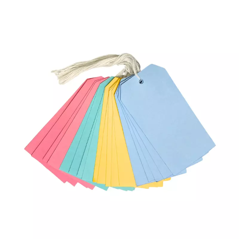 Pack of 20 Coloured Strung Tags 60 x 120mm