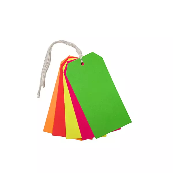 Pack of 30 Assorted Colour Neon Fluorescent Luggage Strung Tags 60 x 120mm