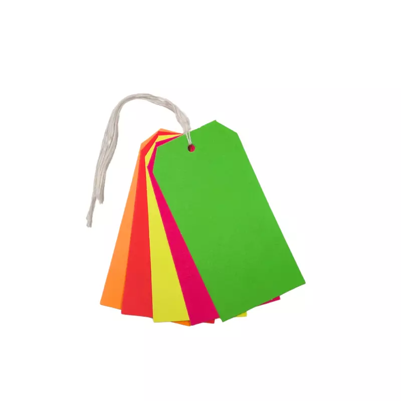 Pack of 30 Assorted Colour Neon Fluorescent Luggage Strung Tags 60 x 120mm