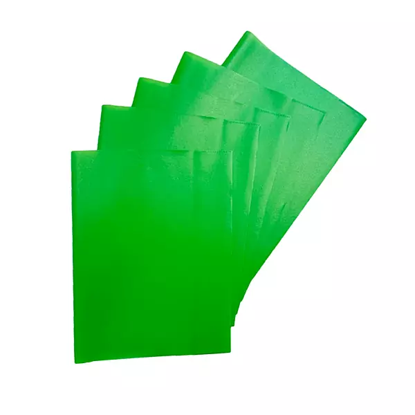 Pack of 10 9x7"" Frosted Green Exercise Book Covers