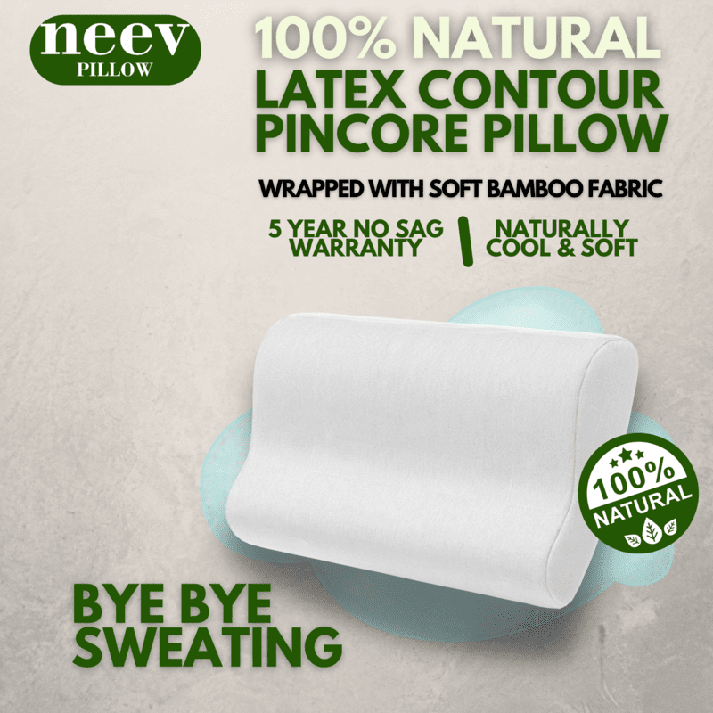 Neev 100% Natural Latex Pincore Contour Pillow Neev 100% Natural Latex Pincore Contour Pillow