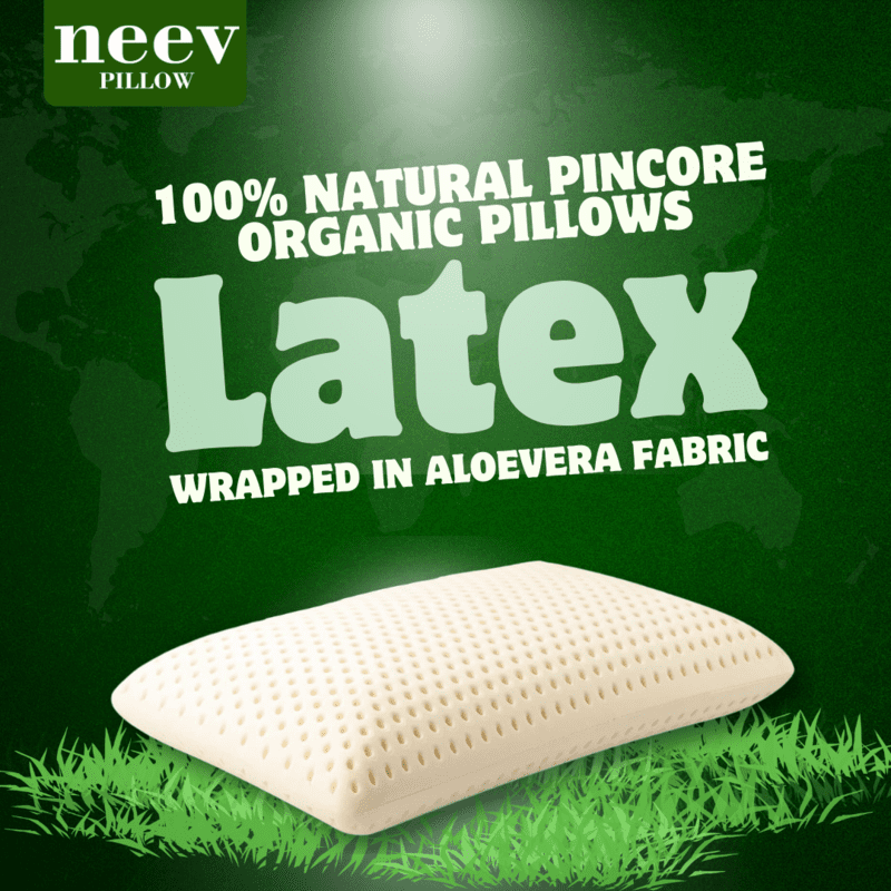 Neev Natural Organic Pincore Latex Pillow Neev Natural Organic Pincore Latex Pillow