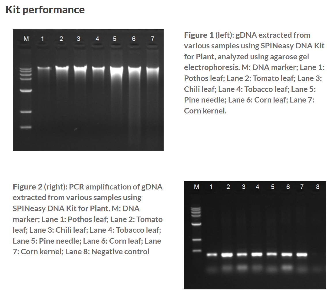 SPINeasy® DNA Kit for Plant 50preps MP