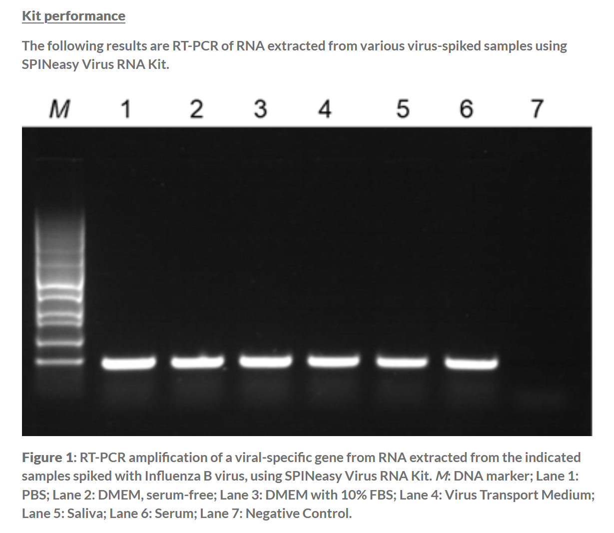 SPINeasy® Virus RNA Kit 50preps MP